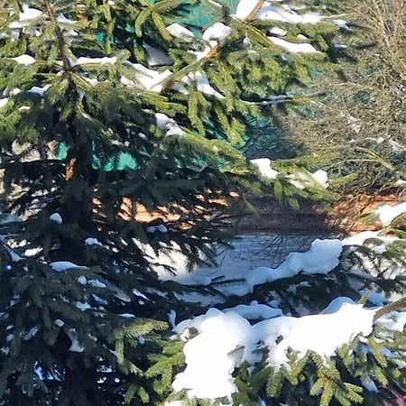сузір'я карпат Ferienhaus *
